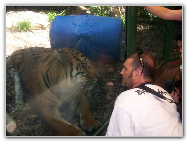 DJ & Friend at Perth Zoo Feb 16th 2007
